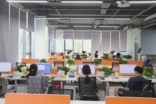 热烈欢迎弗睿跨境电子商务入驻OVU创客星创意天地北站